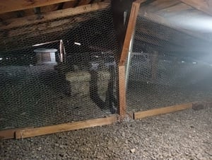 execut curățenie poduri blocuri .