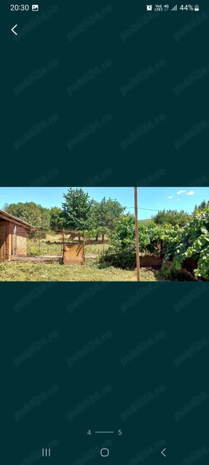 Casa de vanzare Miniș - imagine 5