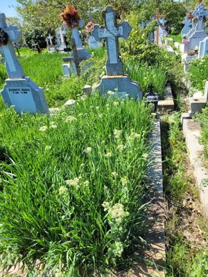 Vind loc de veci. - imagine 2