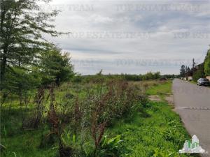 Teren 20.000mp Corbeanca - imagine 3