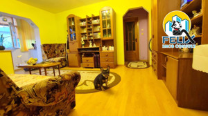 Apartament cu 3 camere semidecomandat, zona Miron Costin,  55mp - imagine 13