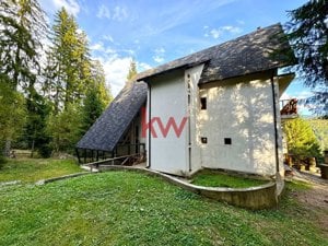 Cabana cu 10 Camere in Valea Putnei, Pojorata, jud. Suceava - imagine 4