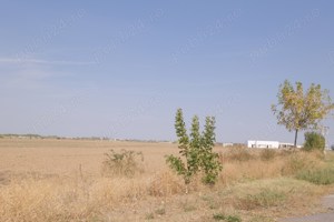 Mihailesti - vav de Piscina Dovinot, 57000 mp. teren intravilan cu deschidere la DN6 - imagine 7