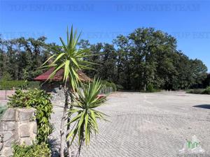 Spatiu Comercial, Hotel de inchiriat - Horeca, Hotel, langa padure Pantelimon - Branesti - imagine 15 Spatiu Comercial, Hotel de inchiriat - Horeca, Hotel, langa padure Pantelimon - Branesti - imagine 15