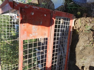 Cand Container de metal