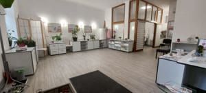 Inchiriez spatiu comercial ultracentral in Oradea,cu intrare din strada - imagine 2