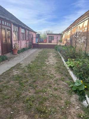 vand casa in Zadareni nr 455 - imagine 2