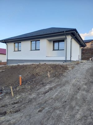 Societate comerciala cu raspundere limitata  - imagine 2