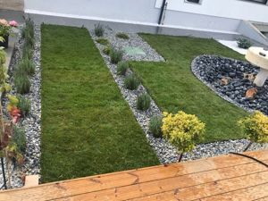 25 ani experienta  - imagine 5