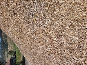 De vanzare  tocator de lemn - imagine 4