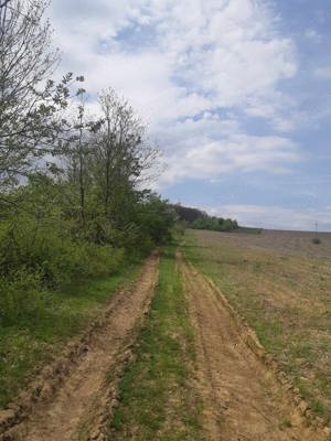 Vanzare teren extravilan  Aghires jud,salaj si tigle tip solzi veghi de 100 ani in stare buna. - imagine 2