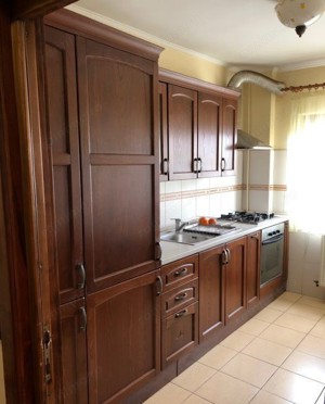 Apartament cu 2 camere, Piata Victoriei - imagine 4