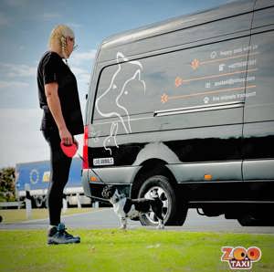 Oferim transport caini si pisici in tara si international - imagine 2