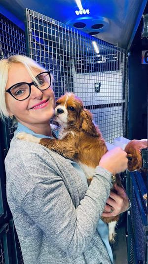 Oferim transport caini si pisici in tara si international - imagine 6