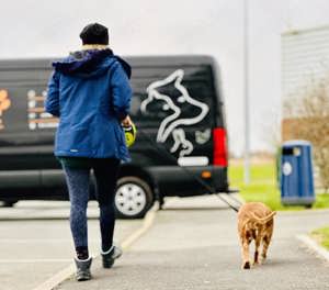 Oferim transport caini si pisici in tara si international - imagine 5