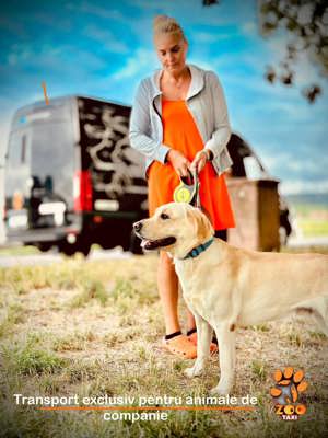 Oferim transport caini si pisici in tara si international - imagine 4