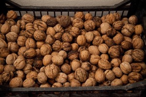 Nuci in coaja   de vanzare