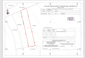 Teren intabulat 785 MP sat Catunu com. Cornesti) DB - imagine 4