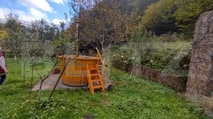 Casa de vacanta sau bussiness in inima naturii, pe Valea Ariesului ! - imagine 5