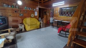 Casa de vacanta sau bussiness in inima naturii, pe Valea Ariesului !