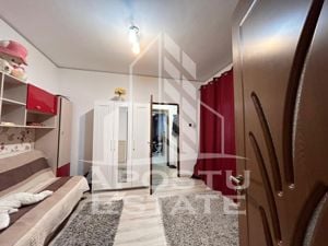 Apartament renovat complet langa Colegiul National Banatean. - imagine 3