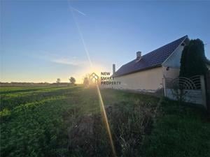 De vanzare casa Pausa + teren de 2.5 Hectare