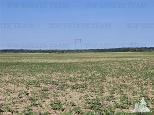 Vanzare teren cu pozitionare excelenta la A1, sensul Pitesti Bucuresti, aproape de nod rutier cu A0 - imagine 4