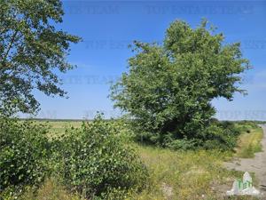 Vanzare teren cu pozitionare excelenta la A1, sensul Pitesti Bucuresti, aproape de nod rutier cu A0 - imagine 6