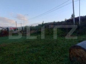 Teren Intravilan,861 mp,toate utilitatile la strada,zona Leoni  - imagine 2