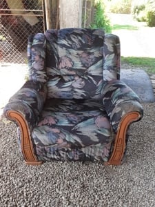 Fotoliu pluș sufragerie