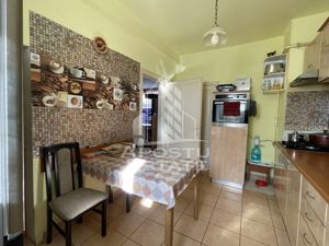 Casa Freidorf Timisoara - imagine 3