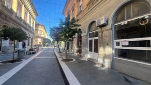 Spatiu comercial de inchiriat pe strada Metianu