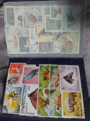 Clasor cu mapa vechi,clasor cu timbre si mai multe ne expuse,prezentate asa cum au fost gasite BIBLI - imagine 4