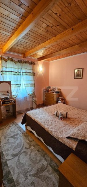 Casa deosebita, 3000 mp teren, 6 camere zona linistita - Barcani  - imagine 11