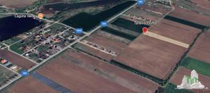 Teren pentru case 6000mp Moara Vlasiei