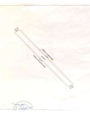 Ovidiu- Poiana, teren intravilan ideal pentru constructie case - imagine 6