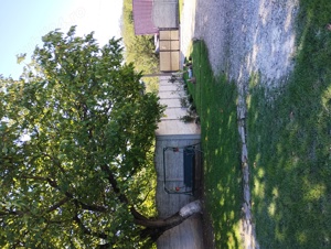 Casa de vanzare - imagine 3