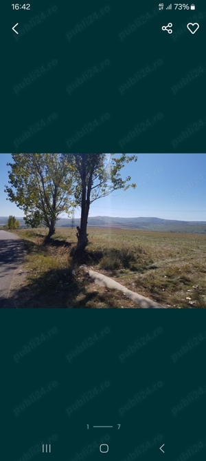 Ciurila teren 3800m2 