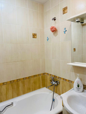 Apartament 3 camere Donath Park - imagine 3