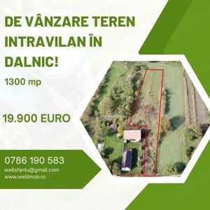 De vânzare teren intravilan în Dalnic!