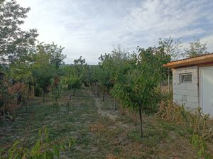 Casa cu curte si gradina - zona linistita si frumoasa - imagine 4