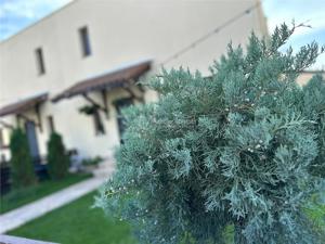 Casa moderna - Green City - 4 camere - 3 bai - 120mp - 120mp curte - imagine 17