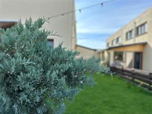 Casa moderna - Green City - 4 camere - 3 bai - 120mp - 120mp curte - imagine 16