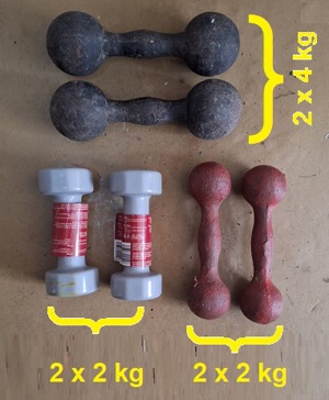 gantere si stepper fitness