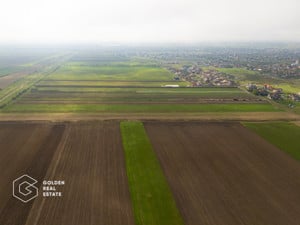 Parcele de 500 mp in Livada, cu toate utilitatile la strada - imagine 11