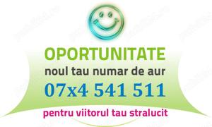 Numar VIP - 07x4.541.511 - platina aur gold usor special cartela numere usoare speciale deosebite