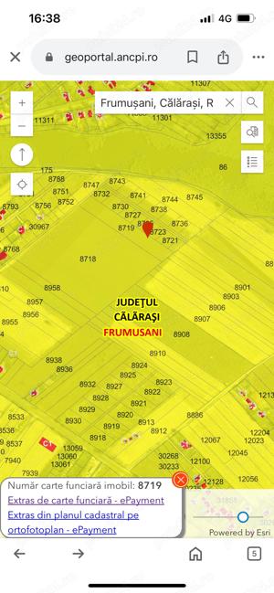 Teren de vânzare Frumusani 6229 mp  200m până la dn4 - imagine 3