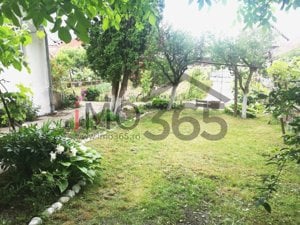 Teren Bascov 1754mp-izvor pe teren-intre case-la 700m de sens Bascov