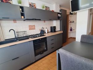 Apartament 2 camere Banu Manta Victoriei - imagine 8