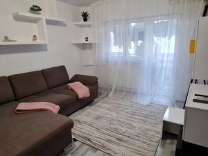 Apartament 2 camere Banu Manta Victoriei - imagine 4